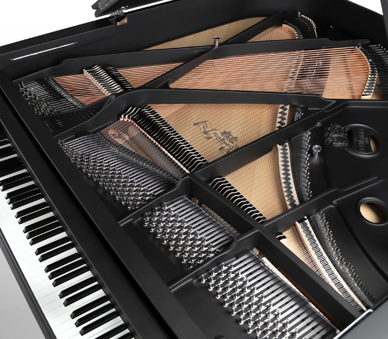 SCHIMMEL C169 Black Pearl