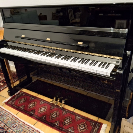 BECHSTEIN B120 - 12 500 €