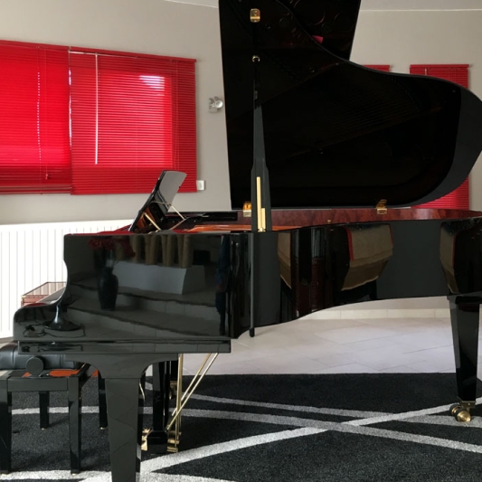 SCHIMMEL K189T - 26 000 €