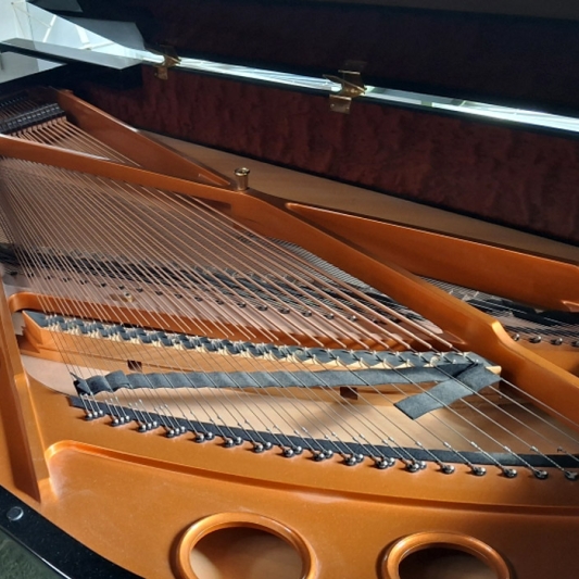 SCHIMMEL 230 T - 58 000 €